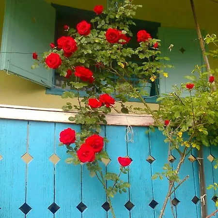 Blue * Podvrh (Braslovce)