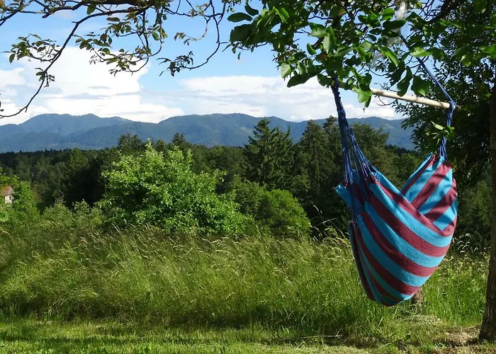 Blue Летний дом *