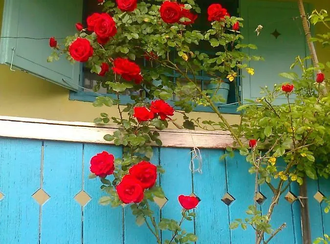 Blue * Podvrh (Braslovce)