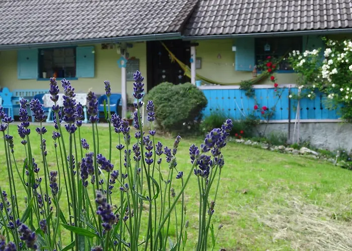 Blue Εξοχικό σπίτι Podvrh (Braslovce)