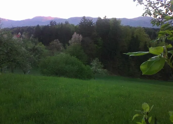 Blue Εξοχικό σπίτι Podvrh (Braslovce)